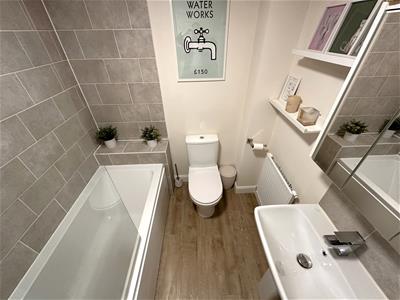 Picture 13